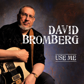 david bromberg band wiki