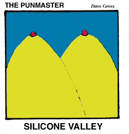 Silicone Valley